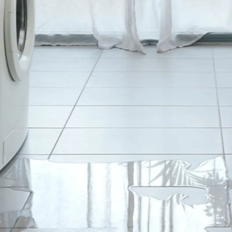 Appliance Leak Cleanup in Berryville, AR