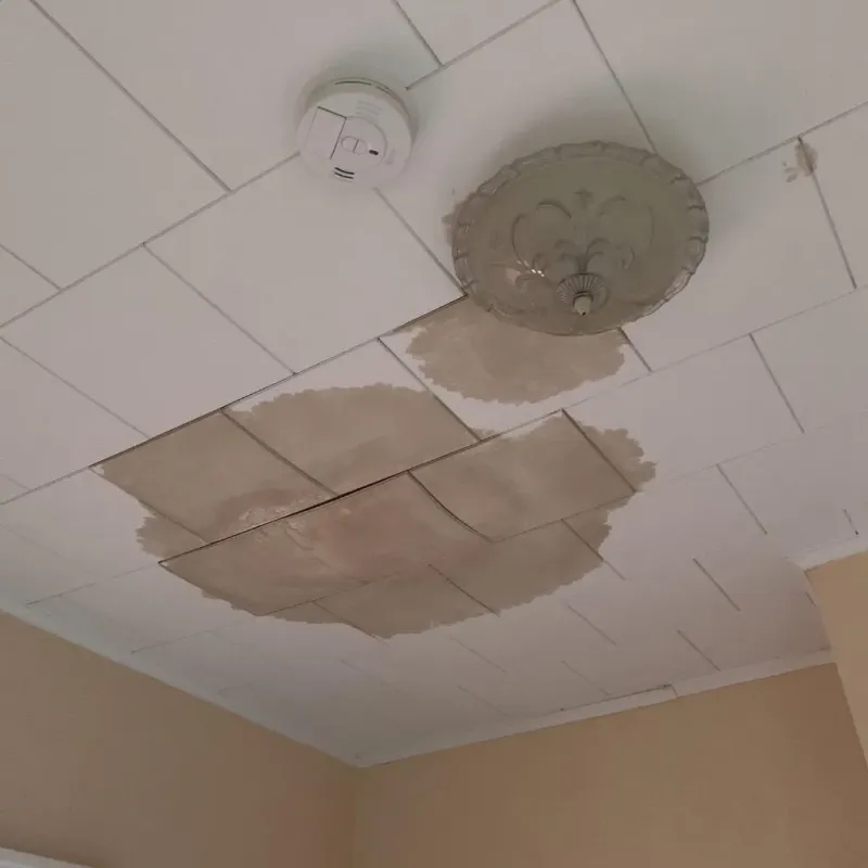 Ceiling Water Damage Repair in Berryville, AR