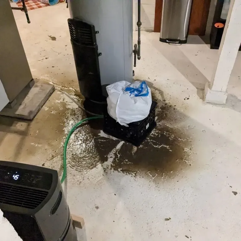 Sewage Backup Cleanup Service in Berryville, AR